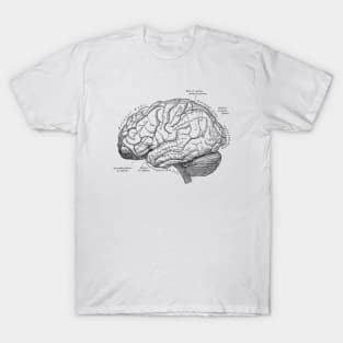 Human Body - Brain vol.3 T-Shirt